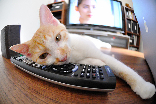 逆转的艺术，从德国队赛场到李梓嘉球拍下的胜利哲学