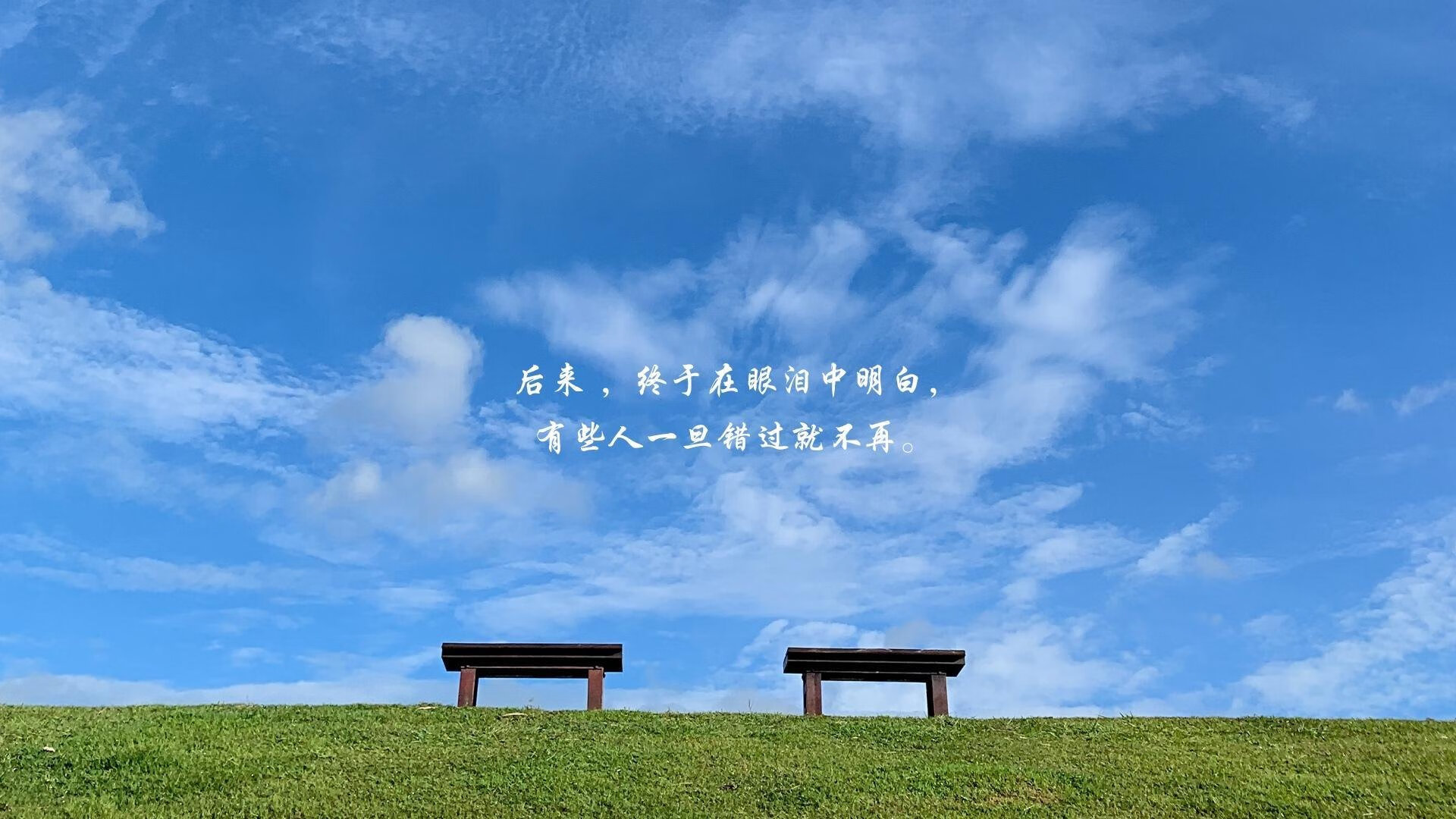 当策动者成为绞索，美加墨世界杯之夜，穆勒的单边锁链