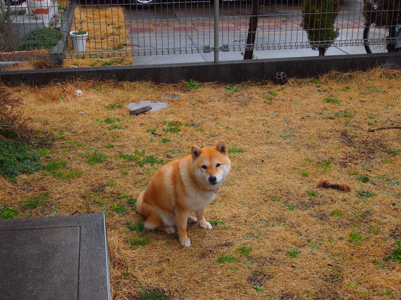 棋手与绿茵,文班亚马节奏哲学下的英超争冠夜