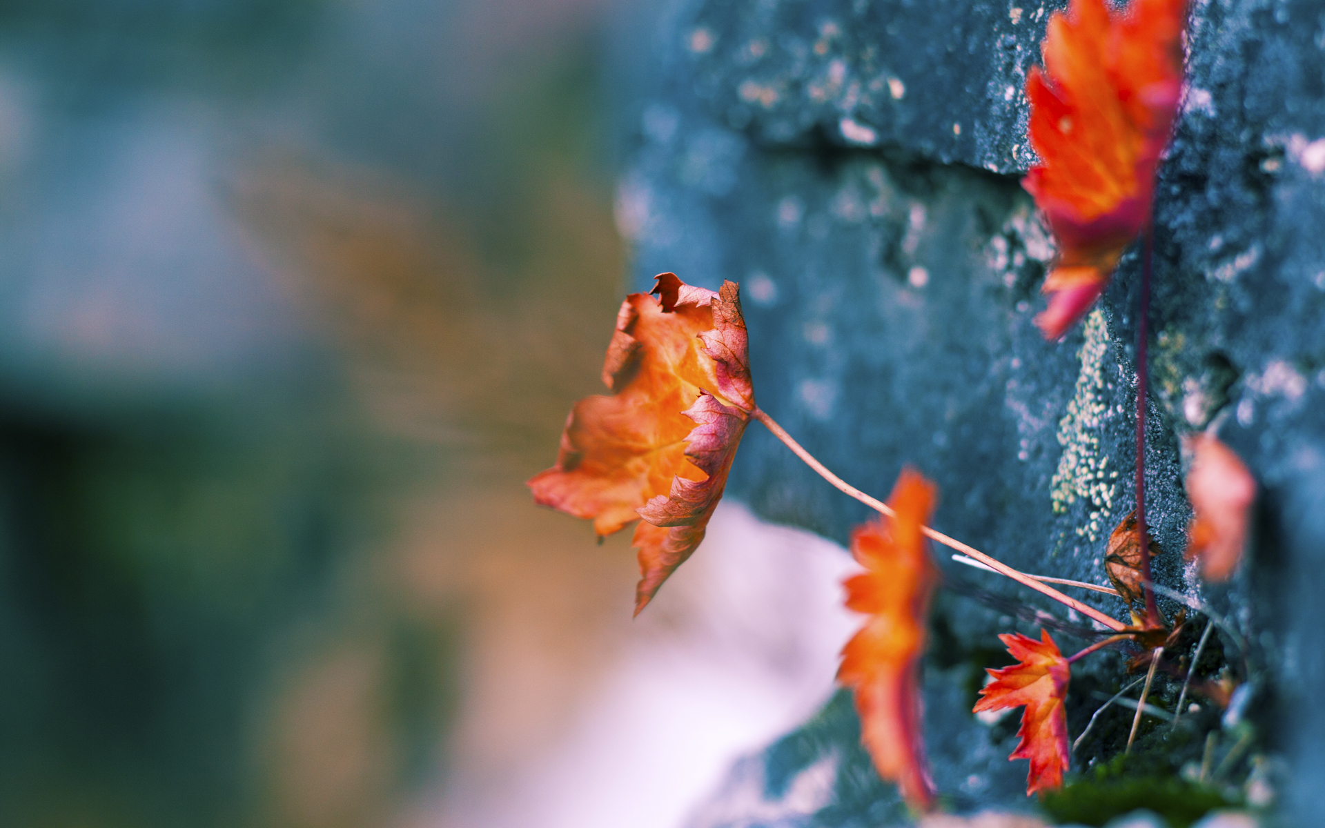 双塔倒塌！布伦森单骑救主，76人上演孤星逆袭