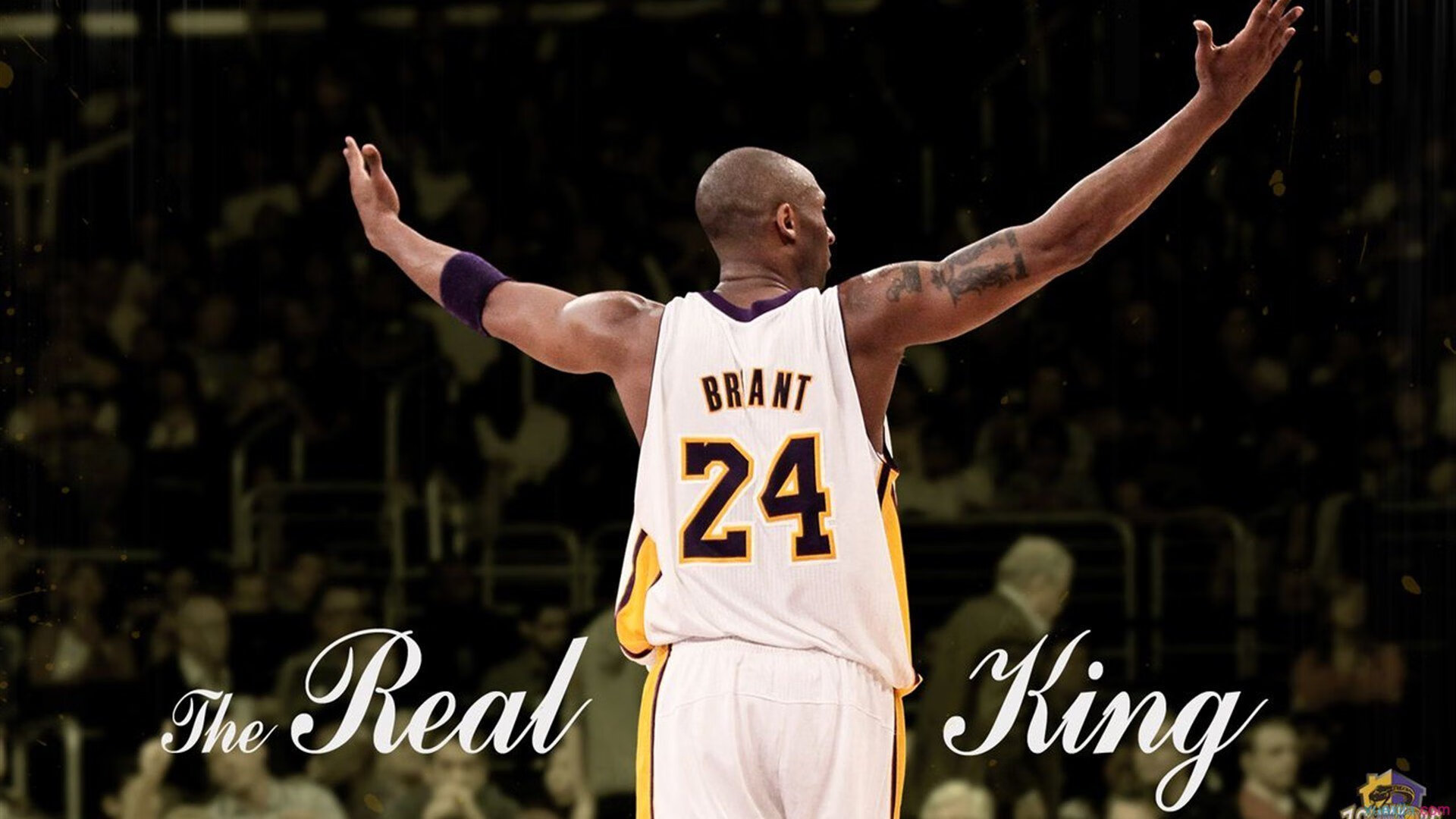 从丹佛到世界之巅,掘金一波流击溃雷霆,预演字母哥2026世界杯统治时刻