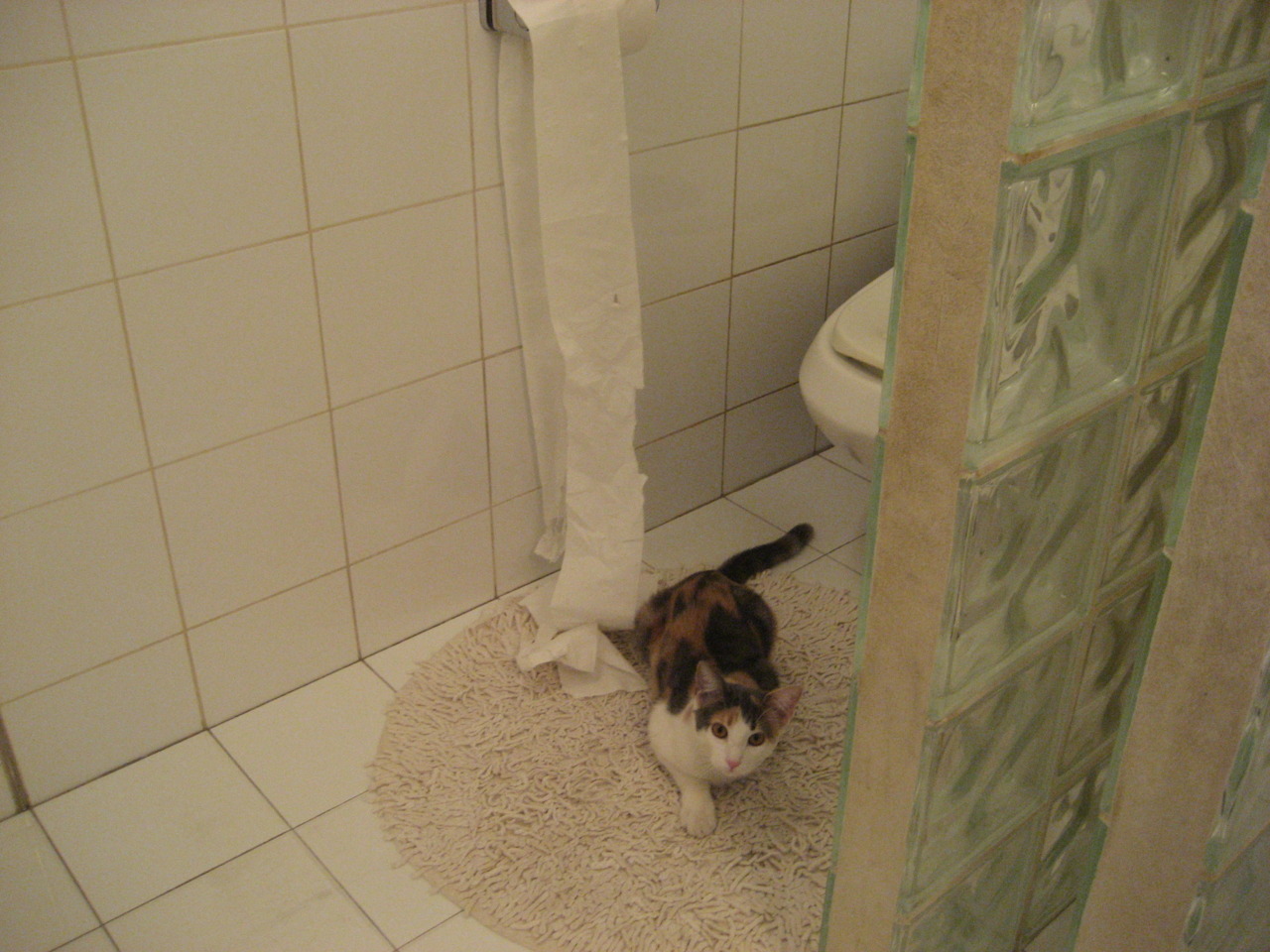 燃烧的休斯顿与残破的布鲁克林之网，詹姆斯，那枚决定天平的关键落叶