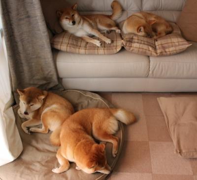 绿茵之外的救赎，当法比尼奥在日本雨夜找回灵魂