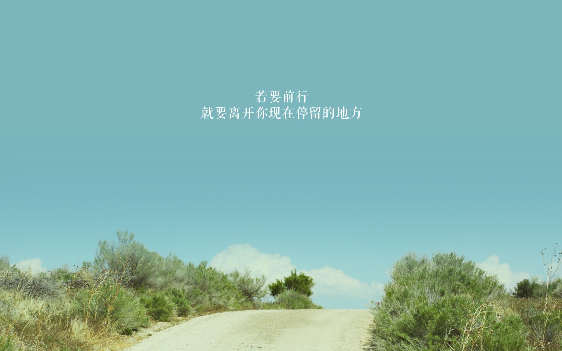 东决焦点战，篮网关键胜利击败奇才，争冠势头强劲