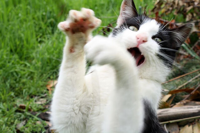 终场哨响,我的赛场在三千公里外