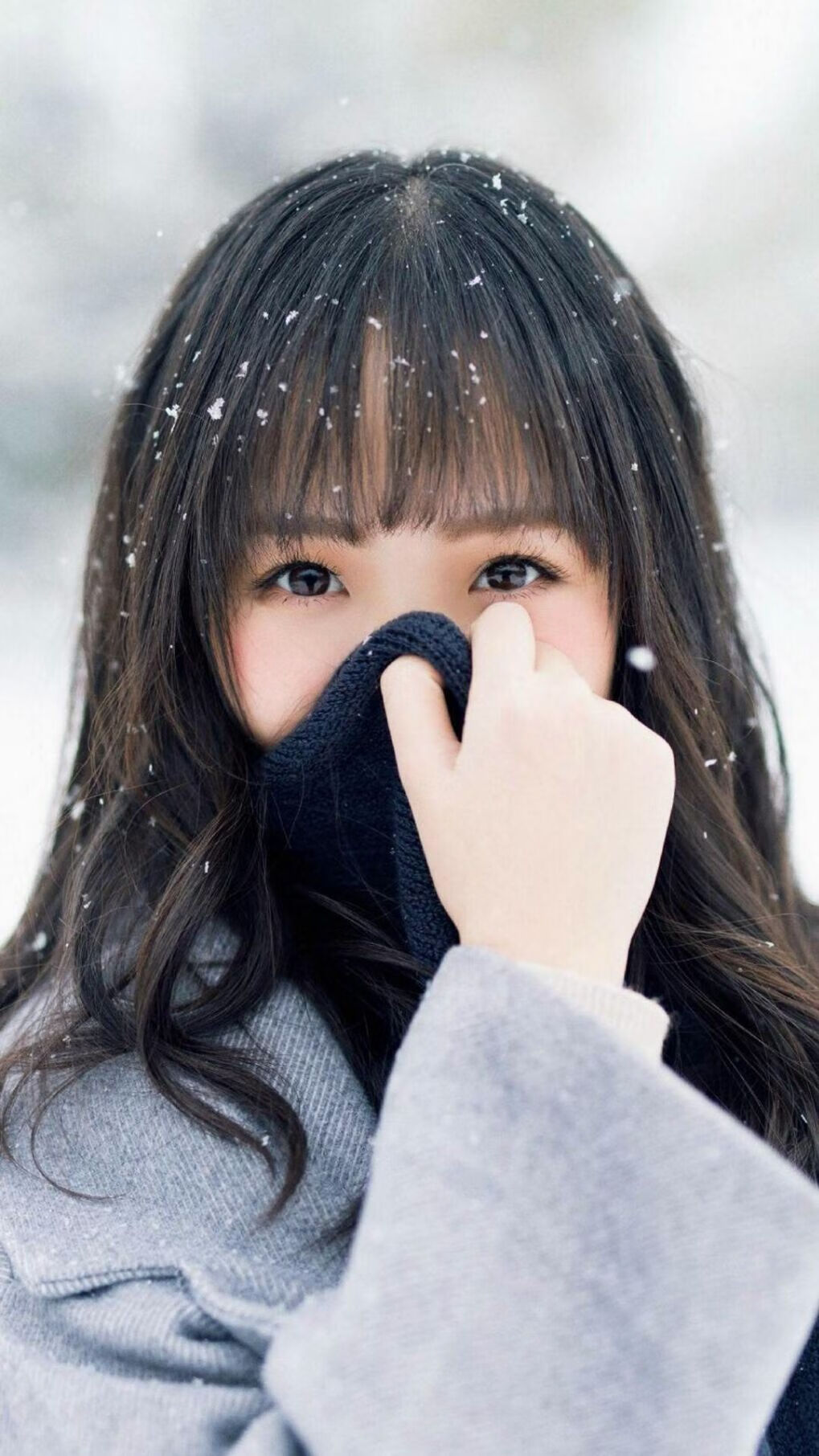 绿茵场与木地板,双城记