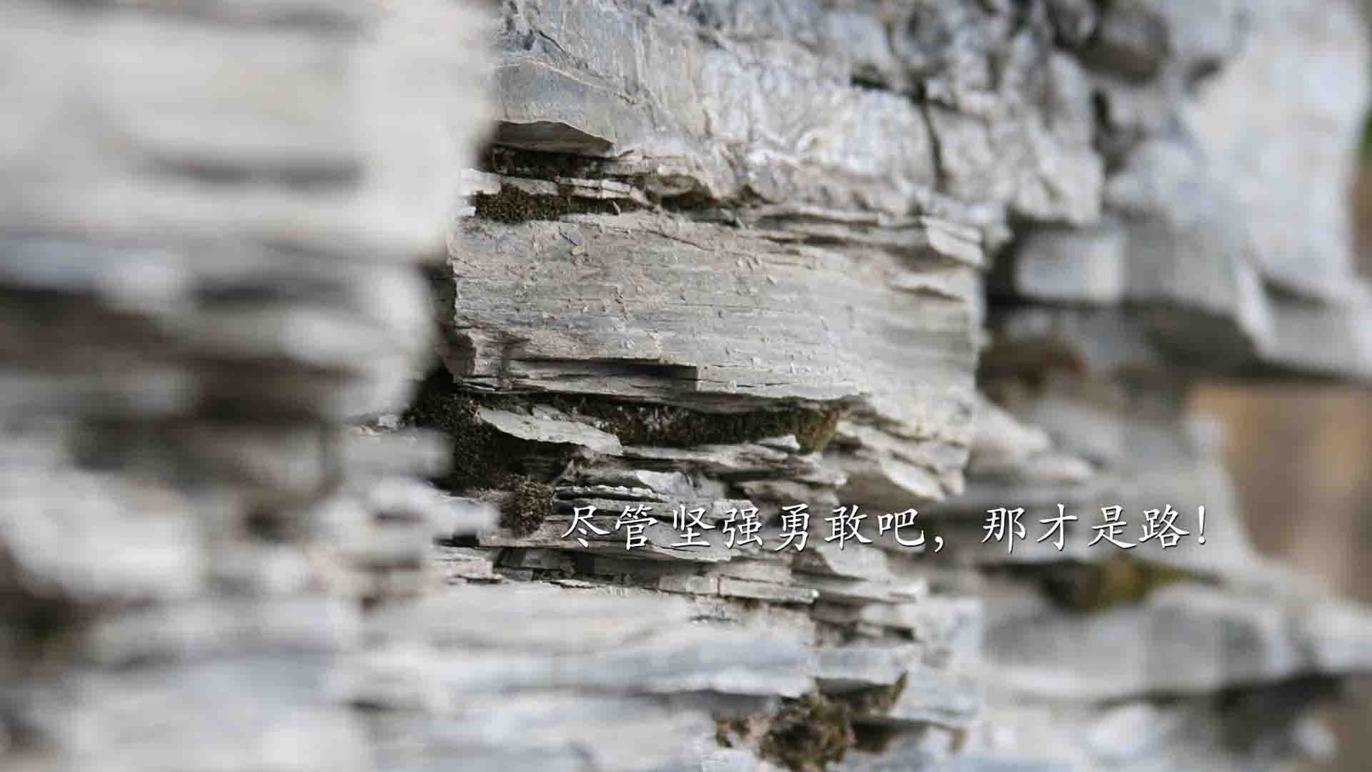 逆袭者的权杖,当阿尔及利亚的铁血击碎西班牙,托尼接管世界排名的暗战