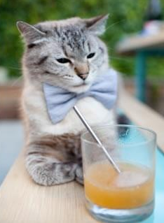 绿茵激情与硬木风暴，意甲焦点战与灰熊击溃快船的双重体育盛宴