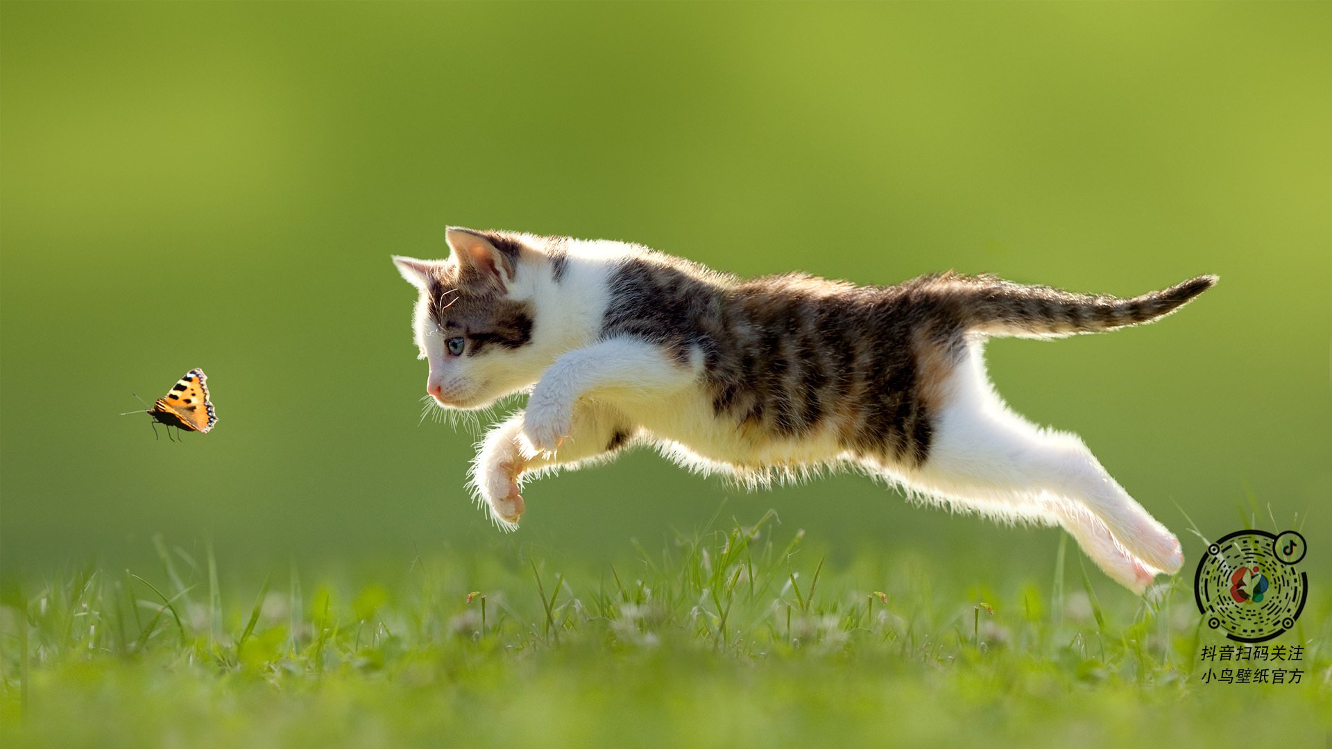 隐形引擎,当福克斯化身精准钟表,76人与湖人的鏖战因谁而倾斜?