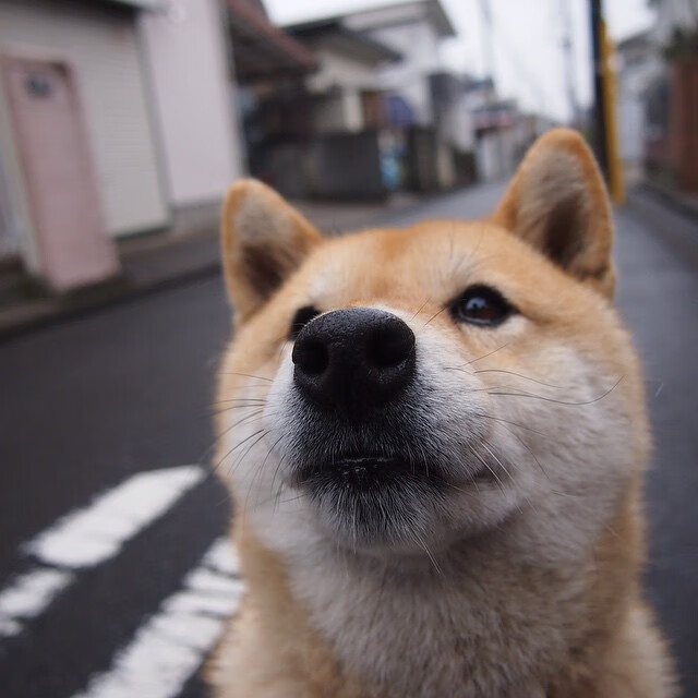 创世纪之夜，当北京紫禁勇士在平行时空拿下东决